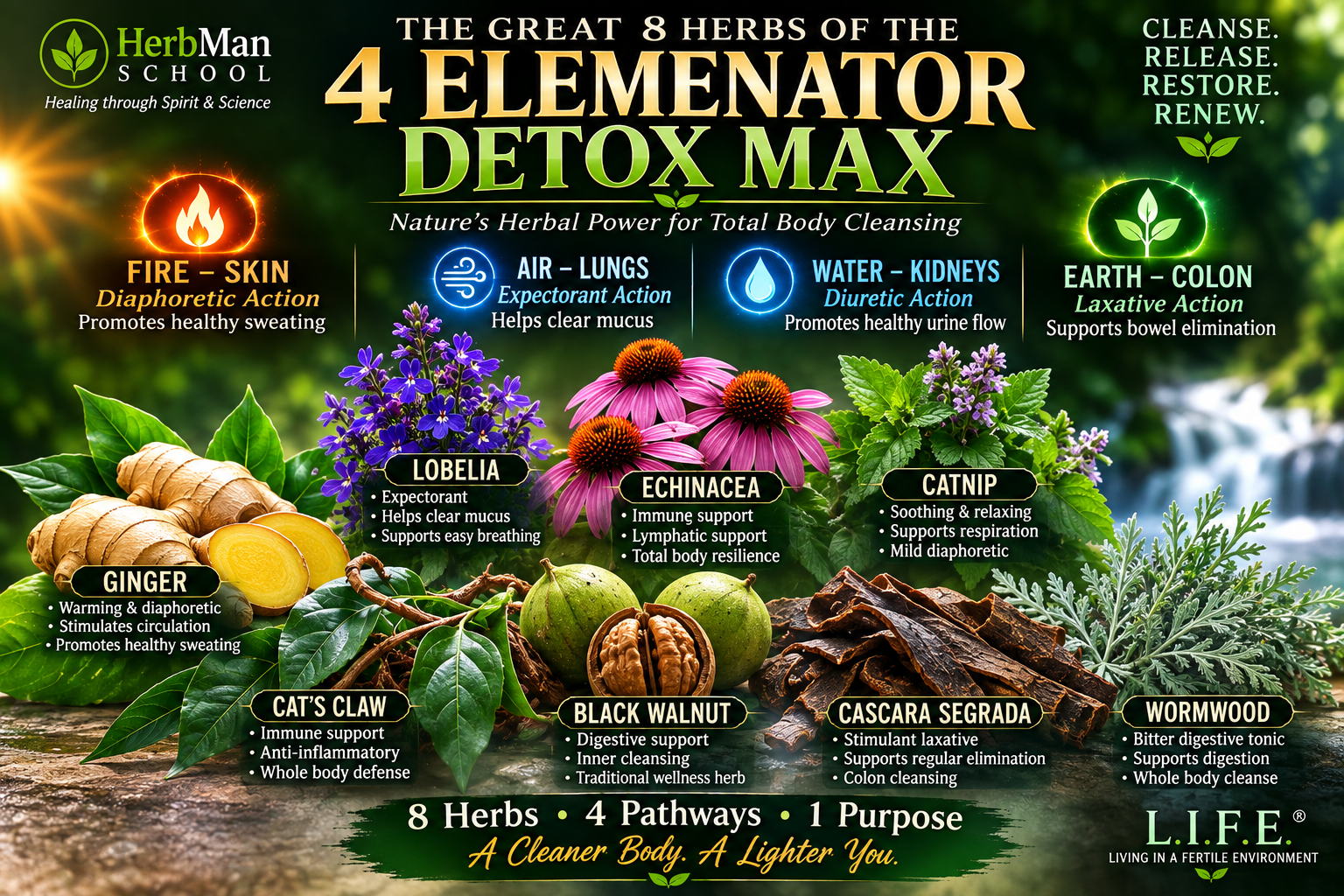 HERBMAN'S 4 ELEMENATOR DETOX